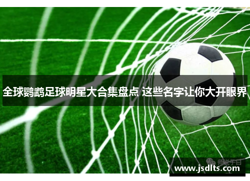 全球鹦鹉足球明星大合集盘点 这些名字让你大开眼界