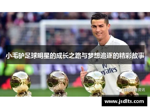 小毛驴足球明星的成长之路与梦想追逐的精彩故事
